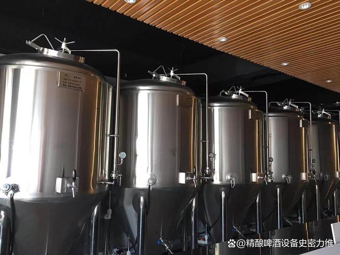 舟山开精酿吧原浆自酿啤酒设备多少钱一套?家用商用怎么选不踩坑